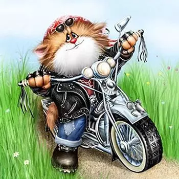 Набор для вышивки крестом DIY Алмазная вышивка Мотоцикл Кот Алмазная картина Мозаика Домашний декор 30X30CM