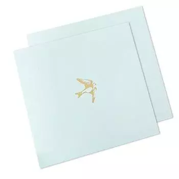 Набор фотокарточек «Аккордеон Очек»