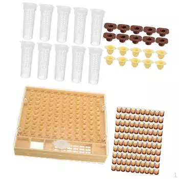 Набор инструментов для пчеловодства, подстаканник для выращивания маток, клетки