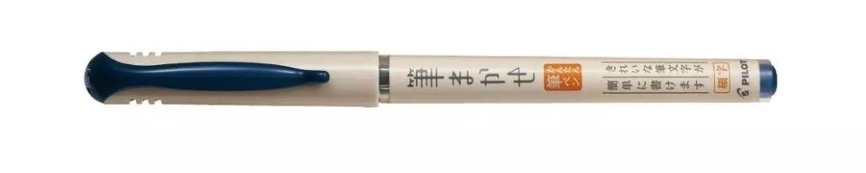 Набор из 10 кистей Pilot Brush Pen с тонким кончиком, синего и черного цвета, SFM-20F-BB