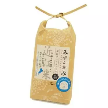 Набор из 10 косметических масок для лица Mizukagami