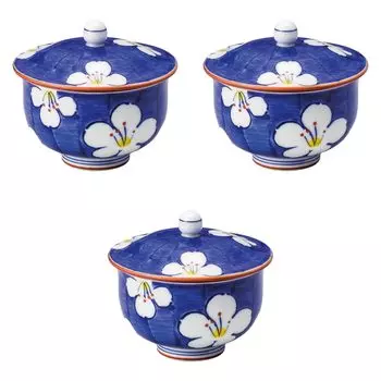 Набор из 3 чайников с крышкой Hanamiya Sencha Arita Ware Setomonohonpo с крышкой [98 см] (170 куб.см)] (Арита Уэр)