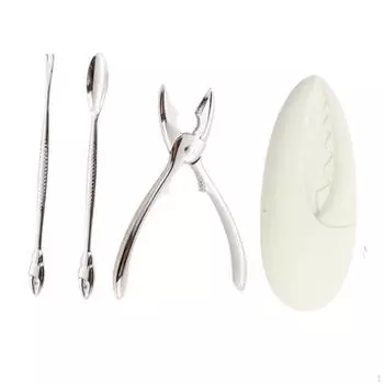 Набор из 4 предметов для морепродуктов с коробкой Professional для ракушек, омаров, моллюсков