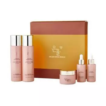 Набор из 5 предметов коллагена Eunyul