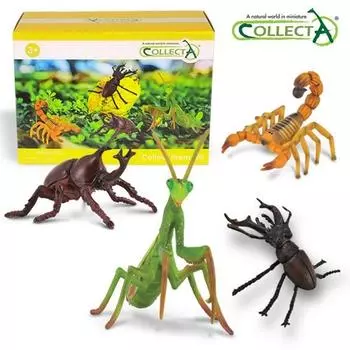 Набор коробок с надписями Collecta Insect (4 типа) Фигурка Игрушка Модель, популярные игрушки в Корее