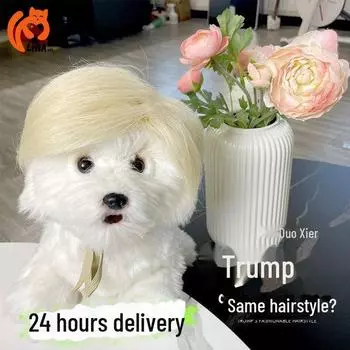 Набор костюмов для питомца на Хеллоуин: Парик Трампа и галстук-бабочка для собак Trump style wig
