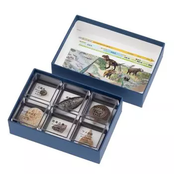 Набор образцов книги Oherikosha, 6 типов справочных ископаемых