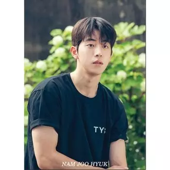 Набор постеров формата А3 из 12 листов K-STAR (Нам Джу-Хёк 02)