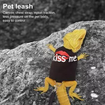 Набор поводков для рептилий и ящериц, регулируемая шлейка для мелких животных с тяговым тросом для хамелеонов и бородатых агам для прогулок на открытом воздухе чёрный