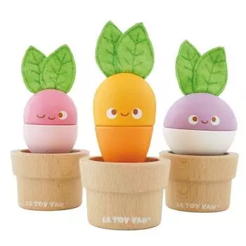 Набор с деревянными овощами