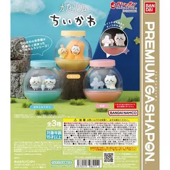 Набор типов капселиума Гача Гача Гача Чиикава [3 (полный полный)]