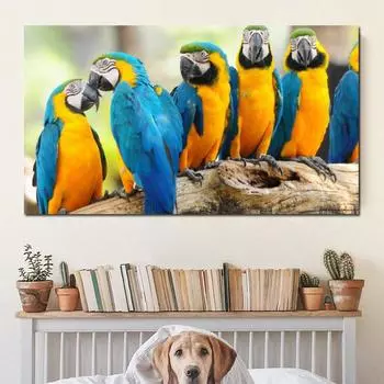 Надежные художественные картины на холсте, постеры с животными, изображения с попугаями для дома, настенные художественные принты для украшения гостиной, без рамки 21*30cm
