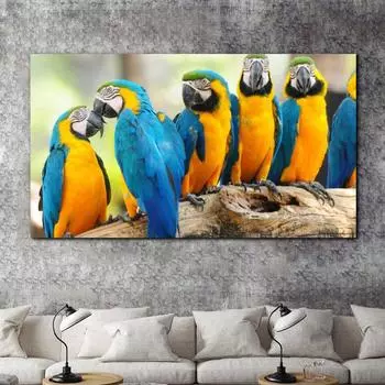 Надежные художественные картины на холсте, постеры с животными, изображения с попугаями для дома, настенные художественные принты для украшения гостиной, без рамки 20cm40cm No Frame