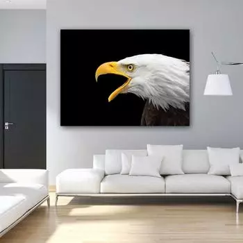 Надежные художественные настенные художественные фотографии, плакаты с изображением орла и птицы, куадрос, холст, картина, квадро, украшение, без рамки 21cm30cm NoFrame