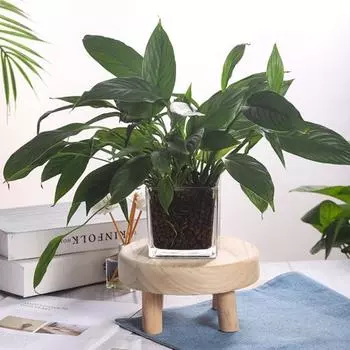 Надежный современный прочный небольшой деревянный табурет с текстурой дерева, хозяйственные принадлежности