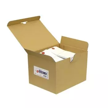 Nagatoya Shoten Wire Tag 2 Box of 1000 No. (Large) N-002 [1730021]