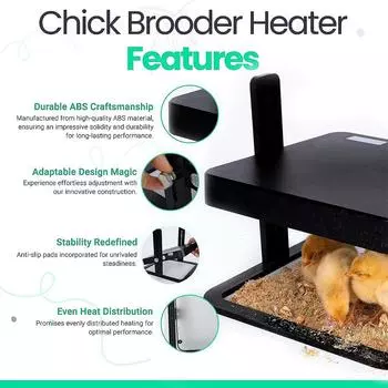 Нагреватель для куриного брудера, нагревательная пластина для птицы 12 х 12 дюймов, подогреватель для 15 цыплят с постоянной EU Plug чёрный
