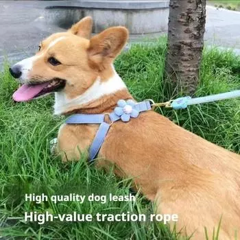 Нагрудная шлейка для питомца с пятью лепестками цветов, мультяшная веревка S бежевый