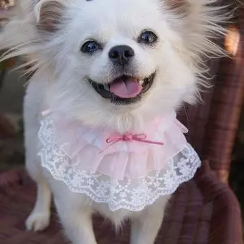 Нагрудник для слюны домашних животных. Привлекательный износостойкий кружевной нагрудник с ошейником для домашних животных. XS розовый