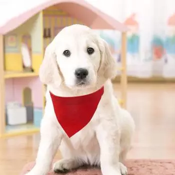 Нагрудник с ошейником для щенка, сплошной цвет, регулируемая пряжка, милая бандана для домашних животных, воротник для собаки S чёрный