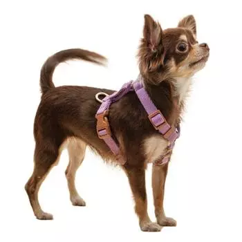 Нагрудный ремень Bodelang Puppy из чистого хлопка H-образной формы, лавандовый