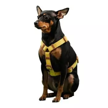 Нагрудный ремень Bodelang Puppy из чистого хлопка H-образной формы, желтый