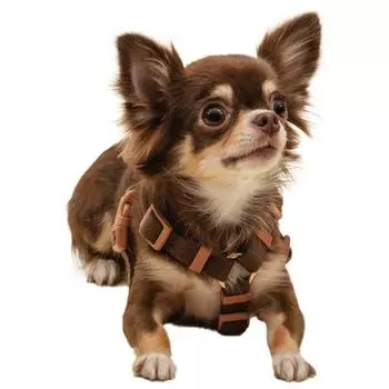 Нагрудный ремень Bodelang Puppy из чистого хлопка H-типа, шоколадно-коричневый