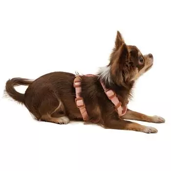 Нагрудный ремень Bodelang Puppy из чистого хлопка H-образной формы, нежно-розовый