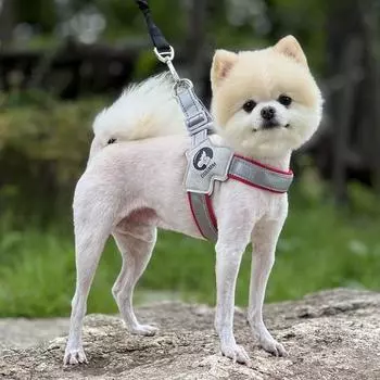 Нагрудный ремень для шлейки для собак Hello Pet Duom L-типа
