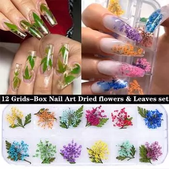 Nail Art Natural Dry Flower Lace Трехмерное растение 12 Grid Box Аксессуары для ногтей