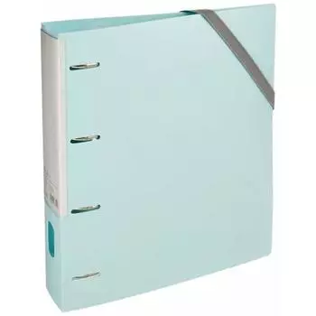 Nakabayashi File Individual 4-D Ring File Blue 67302