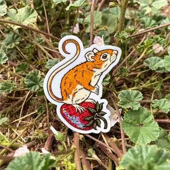 Наклейка «Клубничная мышь» — наклейка «Блестящая радуга» — наклейка «Виниловая блестка» 2,3x3 — наклейка «Природа» на бутылку с водой — наклейка для ноутбука «Милые животные» 3inch/7.62cm 5pc