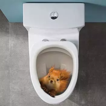 Наклейка на крышку унитаза, сильная липкость, ПВХ, водонепроницаемая, съемная, забавная 3D наклейка с белкой и животным, наклейка на стену 20*25cm