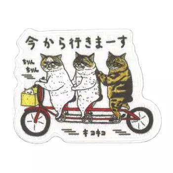 Наклейка Pioneer «Таинственный мир кошек», высота 49 мм, ширина 63 мм, наклейка/утюг примерно. приблизительно. АИП650-АИП07