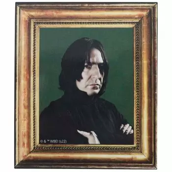 Наклейка Warner [Big Seal] из виниловой рамки с изображением Снейпа в стиле Гарри Поттера/Братья Северус.