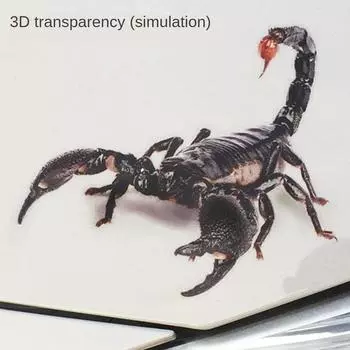 Наклейки на бампер 3D Трехмерные наклейки Паук Автомобильная наклейка Наклейки на бампер Бумага Царапины Скорпион Декоративная водонепроницаемая наклейка