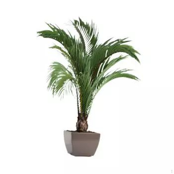 Наклейки на стену с горшечными растениями 3D Art Room Corridor Wallpaper Peel and Stick Bedroom