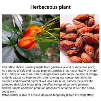 Наклейки на травяные татуировки Временные татуировки паутина Долговечная панк-паутина Поддельная татуировка Дешевые товары Фестиваль искусства Человек Татуировка наклейка A1