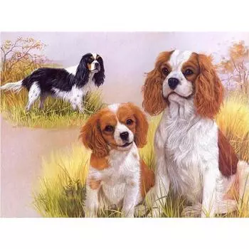 Наклейки со стразами DIY Алмазная картина Наборы для вышивки крестом Собака Полная алмазная вышивка 20X30CM