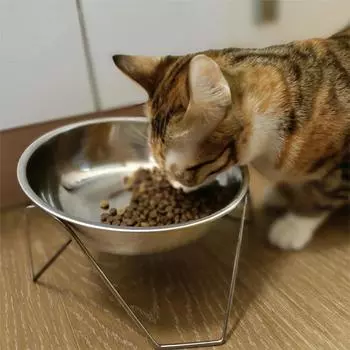 Наклонная миска для кошек из нержавеющей стали 304, устойчивая к падениям, легко моется, безопасная миска для кошачьего корма, подходит для средних и крупных кошек серебряный