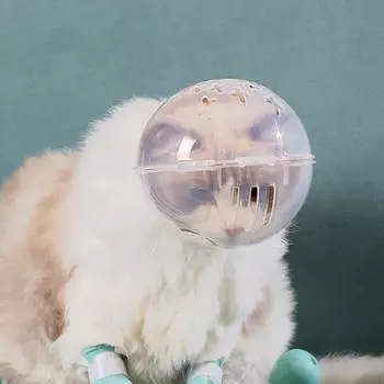 Намордник для кошки, дышащий капюшон, легкий, устойчивый к царапинам, прозрачный чехол для рта питомца для купания M