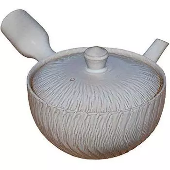 Nankei Touen Benly teapot flat bowl with ash glaze and biri carving Banko-yaki [polished finish]