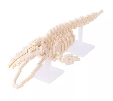 Nanoblock Blue Whale Skeleton Model NBM-010