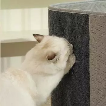 Наполнитель для кошачьего туалета на все времена года Теплые игрушки из сизаля Двухэтажные принадлежности для прыжков с кошкой Дом для кошки