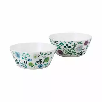 NARUMI Bowl Plate Set Anna Emilia Diameter 14cm Green Floral Pattern 2 Pattern Set Cute Microwave Warming Dishwasher Safe Gift Box 96604-23162P