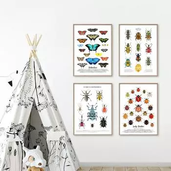 Насекомые, птицы, бабочки, сафари, образовательные плакаты с животными и принты, холст, украшение для детской комнаты, домашние картины, детская комната 21*30cm