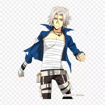 Нашивки для сумки для одежды, термонаклейки с утюгом на термонаклейках Katekyo Hitman Reborn Hayato Gokudera Tsunayoshi Sawada, моющийся узор, теплопередача