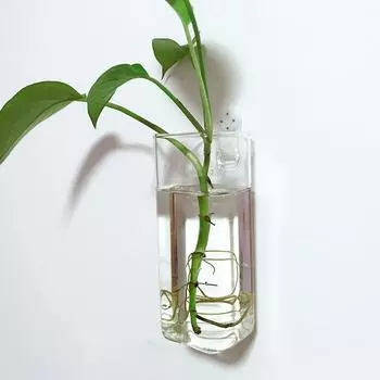 Настенная гидропонная зеленая ваза для цветов квадратная колонна в форме прозрачного стекла современное украшение для дома украшение комнаты