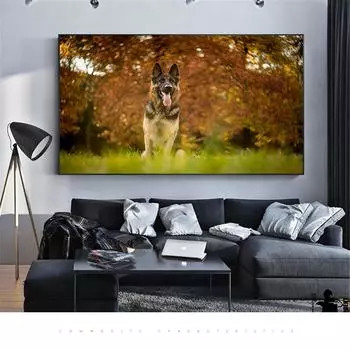 Настенные художественные фотографии, украшение дома 20cm40cm NoFrame