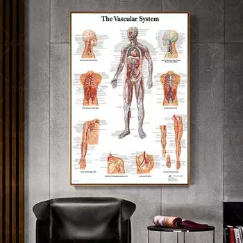 Настенные художественные модульные картины, сосудистая система, холст с принтом, анатомия, домашний декор, постеры, медицинские образовательные картины для гостиной 21*30cm